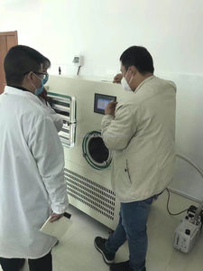 Industrial Vacuum Lyofilizer Freeze <strong>Dryer</strong> Machine 3kg 8 Kg 15 Kg 20kg 30kg 40kg 50kg 60kg 100kg 200kg 500 Kg - Product Image 4