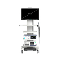 Caméra d'endoscopie médicale électrique Full HD IKEDA YKD-9124 de 24 pouces, appareil professionnel d'urologie laparoscopique