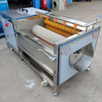 Anxu Commerciële Kurkuma Gember Cassave Aardappel Fruit Schillen Wasmachine Plc Pomp Motor Motor Hoge Efficiëntie