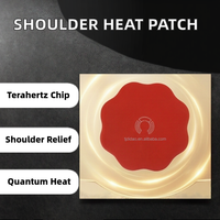 Patch antidouleur OEM pour le soutien du dos, du cou, des épaules et des genoux, fabricant de patchs pour le confort musculaire