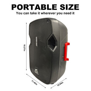 Enceinte active + passive HYANKE EX-10A 10 pouces, 100W RMS, avec USB et radio <span class=keywords><strong>FM</strong></span> - Product Image 2