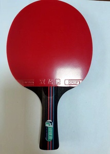 Nouvel ensemble <span class=keywords><strong>de</strong></span> <span class=keywords><strong>tennis</strong></span> <span class=keywords><strong>de</strong></span> <span class=keywords><strong>table</strong></span> 2024, raquette <span class=keywords><strong>de</strong></span> ping-pong professionnelle, <span class=keywords><strong>filet</strong></span> avec sac <span class=keywords><strong>de</strong></span> transport - Product Image 3