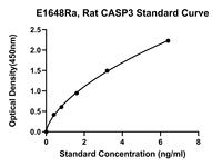 Kit ELISA E1648Ra pour la Caspase 3 de rat, CASP3