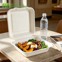 Boîte à lunch carrée 8x8 pouces en bagasse, jetable, type coquille, écologique, anti-fuite, pour plats à emporter, direct usine