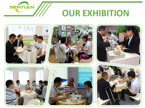 Tongkat Ali ผงสกัดน้ำผึ้ง Tongkat Ali 2% - Product Image 4