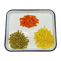 Mikado BRC Halal Légumes Mixtes en Conserve (Maïs, Carottes, Pois, Haricots) Prêts à Consommer pour Toute la Famille