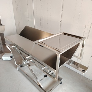 Tavolo Elettrico per Esami Veterinari in Acciaio Inossidabile, Altezza Regolabile, per Sala Operatoria di Ospedali Veterinari - Product Image 2