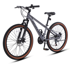 Vélo de montagne en alliage d'aluminium 21 vitesses, 26 pouces, frein à disque, suspension, MTB, argent, en stock aux États-Unis et en Europe, prix abordable - Product Image 1