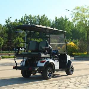 Voitures de <span class=keywords><strong>golf</strong></span> électriques chinoises TongCai pas chères, 2/8 places, <span class=keywords><strong>batterie</strong></span> LiFePo4 72V, alliage d'aluminium, certifiées CE, <span class=keywords><strong>prix</strong></span> de gros - Product Image 3