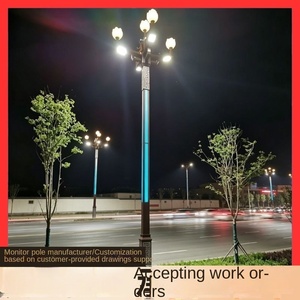 Lampadaire LED paysager Magnolia, éclairage municipal, finition thermolaquée, style chinois, pour sites touristiques, parcs, routes, étanche, 3M-12M - Product Image 5