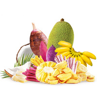 30g-230g Gemengde Gedroogde Fruit & Groenten Zoet FD/VF 5% Vocht Klaar-om-te-Eten Snack 12 Maanden Houdbaarheid OEM/ODM Beschikbaar Aangepast