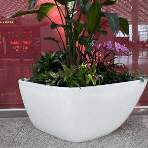 Jardinières en FRP blanches irrégulières - Pots à fleurs robustes en résine et <span class=keywords><strong>fibre</strong></span> <span class=keywords><strong>de</strong></span> <span class=keywords><strong>verre</strong></span> pour la décoration commerciale et domestique - Product Image 4