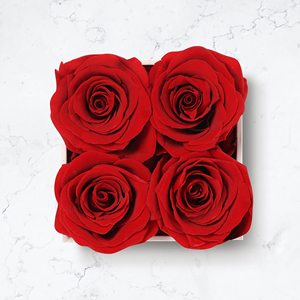 Coffrets cadeaux pour femmes, boîtes à fleurs de roses, roses préservées à vie, éternelles, 4 roses dans un coffret cadeau carré - Product Image 6