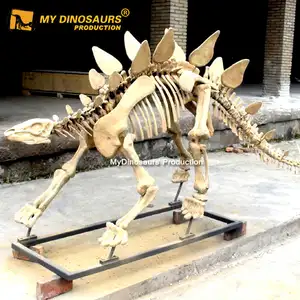 Meu Dino XJ139 Artificial Simulação Dinossauro Stegosaurus Modelo de Esqueleto