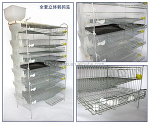 Usine chinoise pas cher prix nouveau Design cage <span class=keywords><strong>de</strong></span> batterie <span class=keywords><strong>de</strong></span> <span class=keywords><strong>caille</strong></span> automatique avec système d'eau - Product Image 1