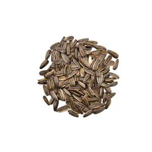 wholesale delicious high quality organic edible roasted sunflower seeds