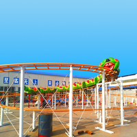 Équipement de montagnes russes pour fête foraine, manèges de jardin pour enfants, mini-montagnes russes Wacky Worm
