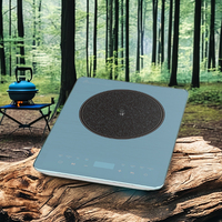 Plaque chauffante électrique à induction portable 2200W à brûleur unique avec plaque en verre pour la cuisson domestique et hôtelière