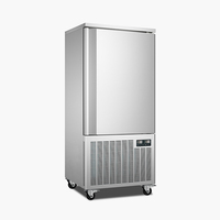 Congélateur à choc haute efficacité BESFRESH à très basse température (-45°C) avec 10 plateaux