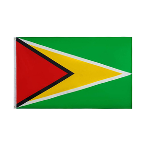 Drapeaux guyanais en polyester <span class=keywords><strong>de</strong></span> 3x5 pieds en gros le drapeau guyanais à pointe <span class=keywords><strong>de</strong></span> flèche dorée - Product Image 1