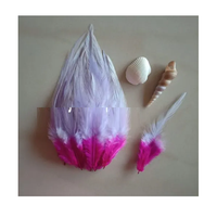 Plumes d'oiseaux naturelles longues et pointues bicolores Soraj Enterprises, artisanat de luxe fait main pour projets artistiques DIY, mariages, fêtes et décoration intérieure