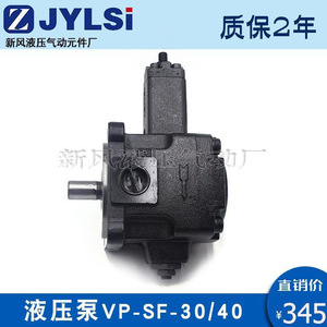 Pompe à aubes variables JUNTAI VP-SF-30-D 250 Bar, pompe à huile hydraulique pour pompes chimiques - Product Image 2