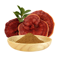 Poudre de champignon Reishi biologique Amulyn, Ganoderma Lucidum, poudre fine issue de la tige fruitière