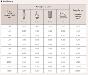 สลิงโพลีเอสเตอร์แบบกลม LEEMETAL 1-80 ตัน ความแข็งแรงสูง ยืดหยุ่นได้ ปลอดภัย ค่าความปลอดภัย 7:1 รับประกัน 3 ปี - Product Image 5