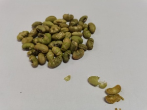 Wasabi Edamame Beans Snack Baked Soybeans with Spicy Salted BBQ Sriracha <strong>Flavors</strong> Packaged in Bulk Box - Product Image 5