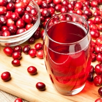 Puur Cranberry Sap Vers Natuurlijk Aangerafeld Concentraat Gezonde Fruitdrank Doos Bulkverpakking Zonder Toegevoegde Suiker Klaar om te Drinken