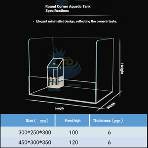 Pecera de Vidrio Ultra Blanco con Esquinas Redondeadas, Tanque Anfibio para Paludario, Acuario de Vidrio Transparente para Plantas Acuáticas - Product Image 5