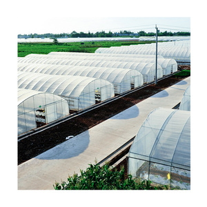 Invernadero Sinok, Cultivadores de Vegetales, Sistema Hidropónico, Agricultura Inteligente, Invernadero - Product Image 1
