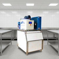 Machine à glace en flocons compacte LIER à économie d'énergie, 300 kg, 1T, 2T, moteur PLC, alimentation monophasée LR-05T, garantie 12 mois - Vente chaude
