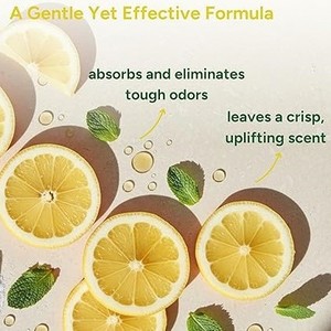 PetFit OEM ODM Biodegradable Non-Toxic Lemon-Scented Pet Odor-Removing Deodorizing <strong>Powder</strong> for <strong>Carpet</strong> <strong>Dry</strong> Wash Air Freshener - Product Image 5