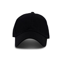 Premium op maat gemaakte kant-en-klare fruit baseball caps met handborduurwerk, 3D-borduurwerk, 100% katoen, ongeëvenaarde kwaliteit, sportief, Bangladesh