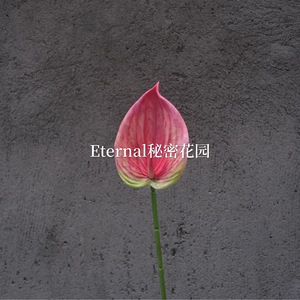 ดอกปาล์มประดิษฐ์ลายสามมิติสำหรับตกแต่งงานแต่งงานจาก Secret Garden - Product Image 1
