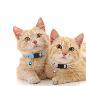 Colliers de sécurité réfléchissants pour chat avec clochettes et boucle réglable, pour chatons et animaux de compagnie - Product Image 2