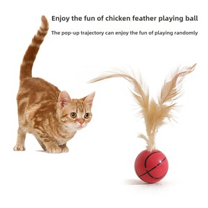 Commercio all'ingrosso eco-friendly gatto Pet Ball solido elastico piuma palla per cani e gatti in gomma gatto giocattolo prodotti per animali - Product Image 4