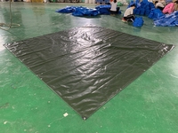 MILLION Pe Bâche, "bâche en plastique verte" 3m * 6m Matériel Pe Bâche Vente Chaude Yémen Saoudien Vert Argent 70g 75g