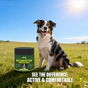 Compléments Alimentaires pour Animaux : Friandises à Mâcher Molles pour les Glandes Anales au <span class=keywords><strong>Citrouille</strong></span> pour Chiens – Enzymes Digestives, Probiotiques et Fibres pour Chiens – Complément Boot Scoot - Product Image 4