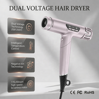 Sèche-cheveux professionnel en céramique pliable à moteur BLDC sans balais haute vitesse, ionique négatif, double tension, vente chaude en usine
