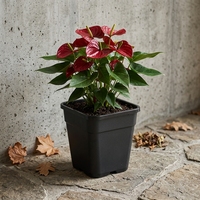 Pots de Jardin Décoratifs Carrés en PP, Style Japandi, Durables, Légers, avec Trou de Drainage, pour Intérieur/Extérieur, Vente en Gros