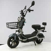 Bicicleta Eléctrica de Alta Velocidad de 800W con Motor sin Escobillas y Batería de Litio