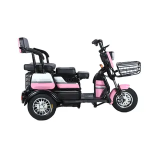 2024 New Senior 2 Person Electric Mini Car 3 Wheel Electric Tricycle Bike Cabin Small