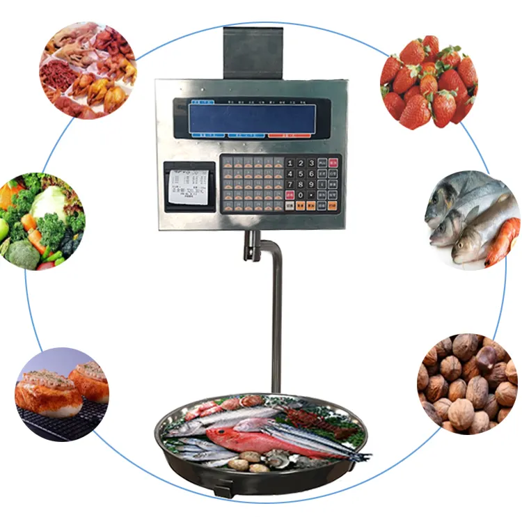 Market price 10-20-30kg multi-interface fresh aquatic vegetable pricing tray hanging scale double-sided hanging scale