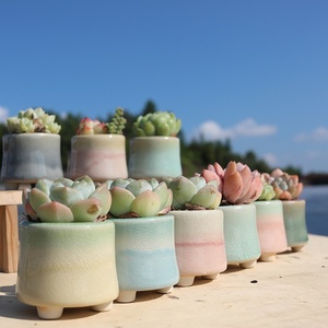 Pot de fleurs créatif arc-en-ciel, style <span class=keywords><strong>urbain</strong></span> minimaliste, moderne et simple, pour plantes succulentes, idéal pour Instagram, <span class=keywords><strong>petit</strong></span> bureau, balcon, jardinage, décoration intérieure - Product Image 2