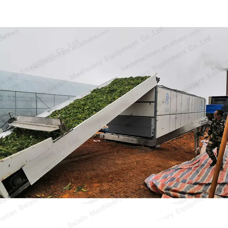 High Capacity Electric Vegetable Drying Machine Vegetable Dryer