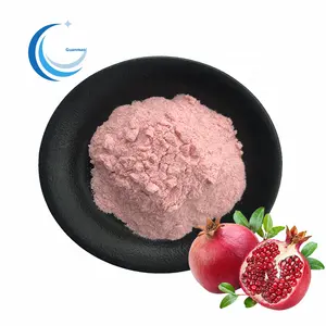 Organic pomegranate extract powder High Quality dried pomegranate powder instant powder pomegranate tea