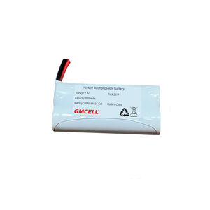 Pack de batteries Ni-MH 2.4V 3.0Ah NiMH SC Cell 2S1P pour éclairage d'urgence - Product Image 2