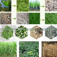 Moteur diesel Ensilage Chaff Cutter Machine Agriculture Manuel Électrique Essence Ensilage Maïs Paille Herbe Chaff Cutter Machine Prix